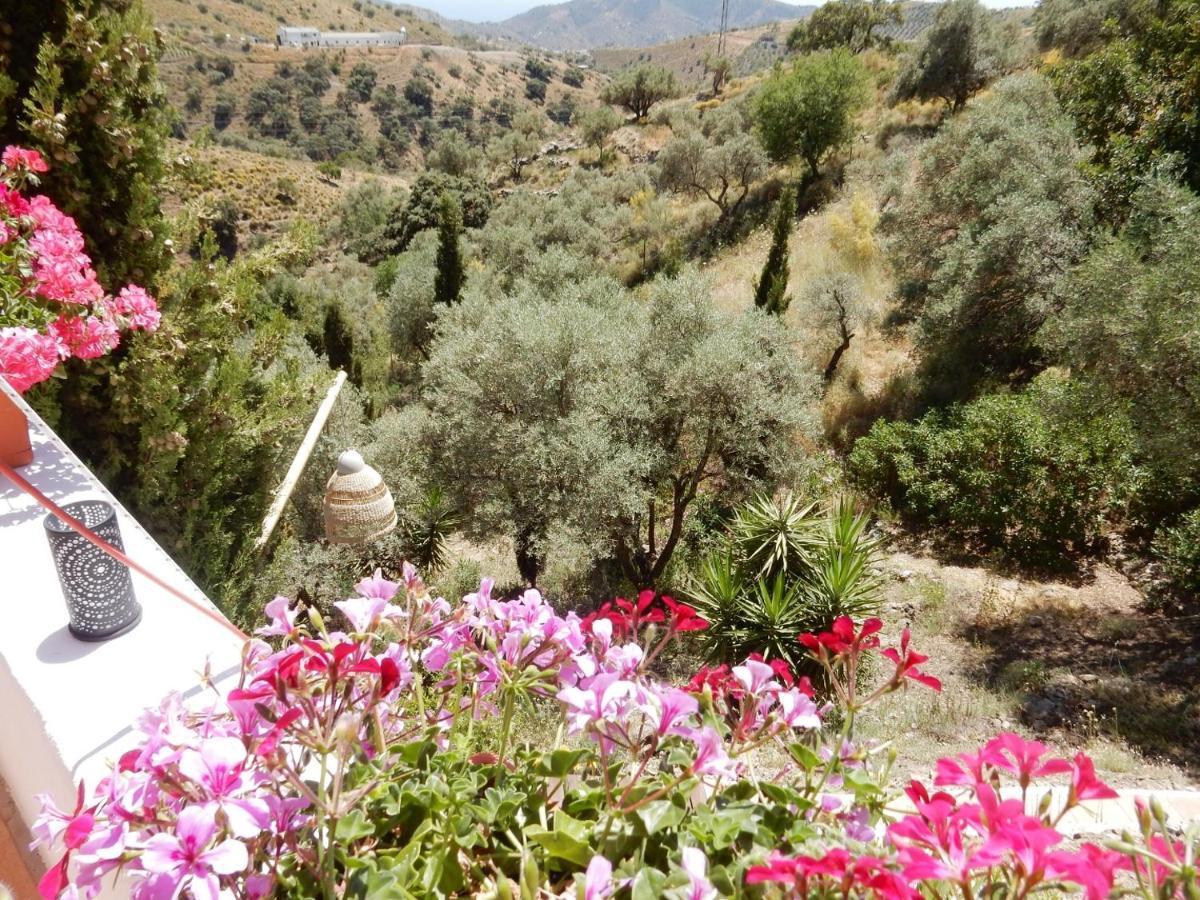 Bed And Breakfast Lagabella Sedella Екстериор снимка